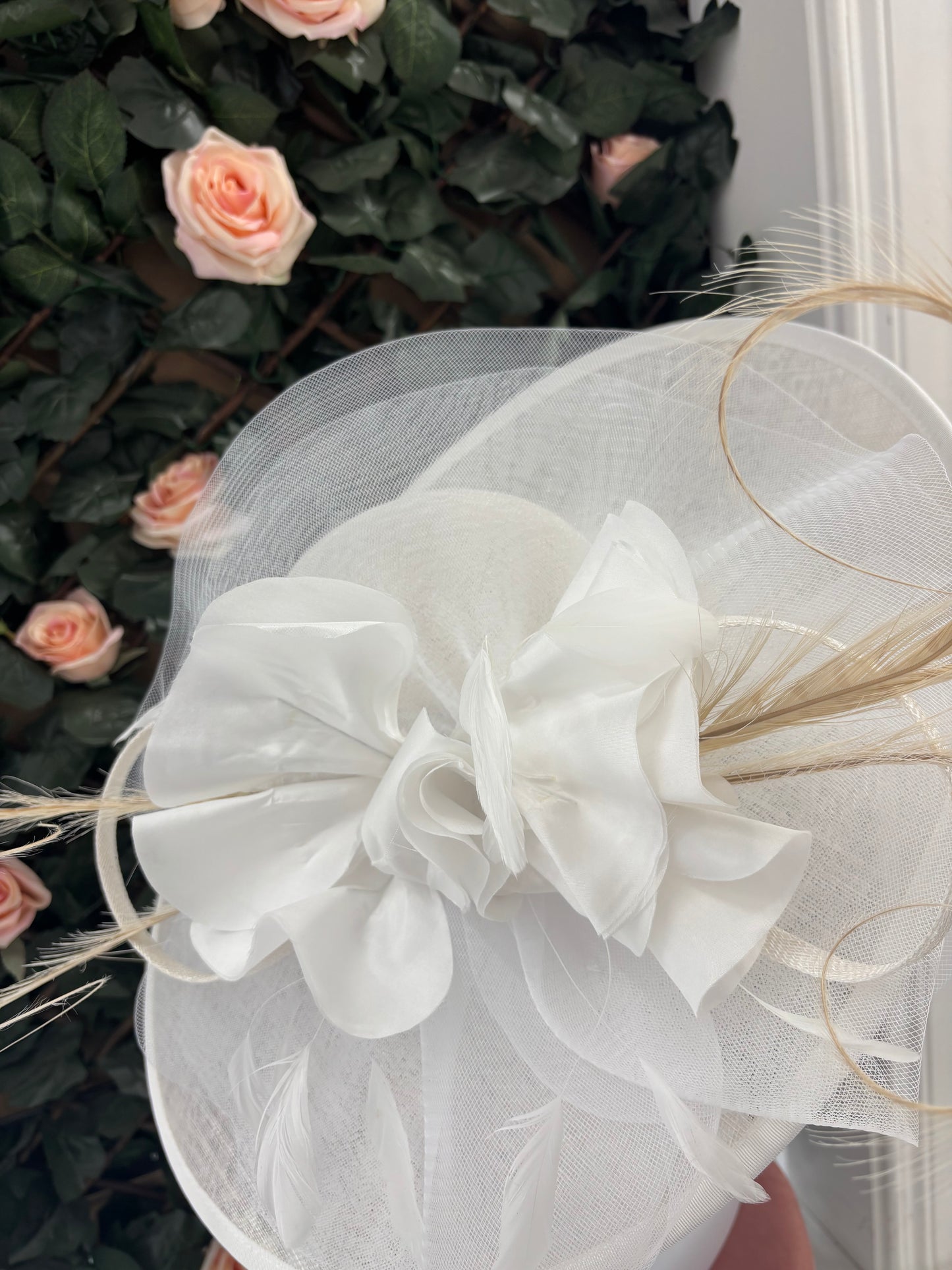 Snoxell & Gwyther 806 in ivory