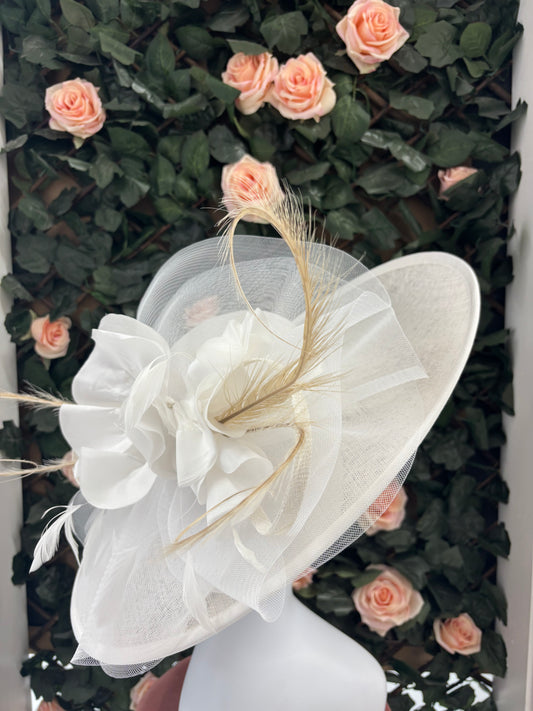 Snoxell & Gwyther 806 in ivory