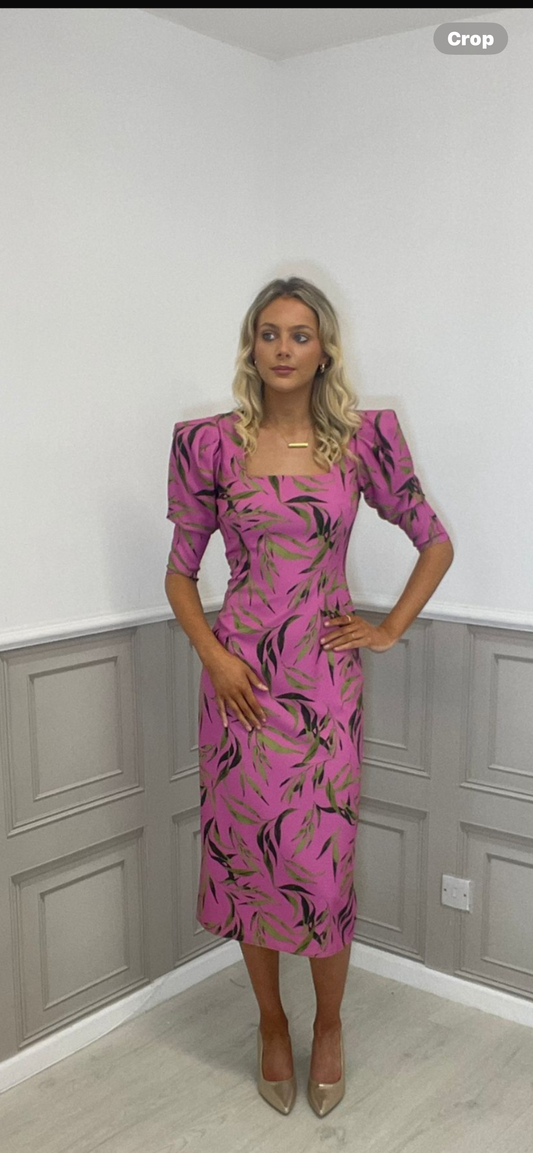 Olimara pink and olive green dress.